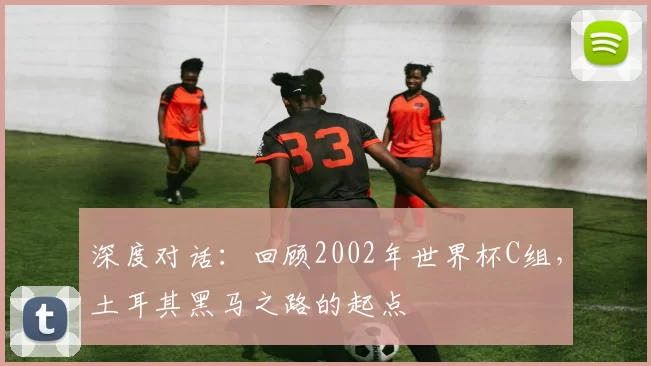 深度对话:回顾2002年世界杯C组,土耳其黑马之路的起点