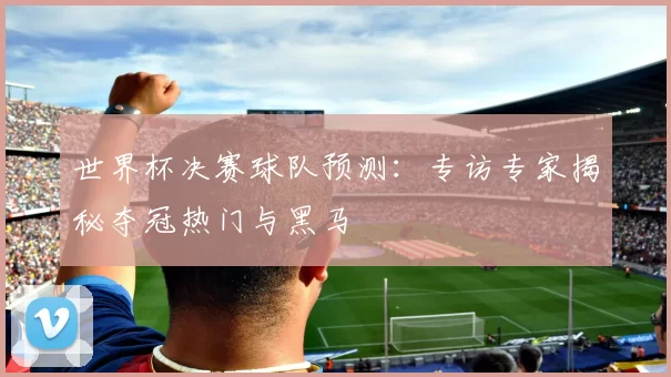 世界杯决赛球队预测：专访专家揭秘夺冠热门与黑马