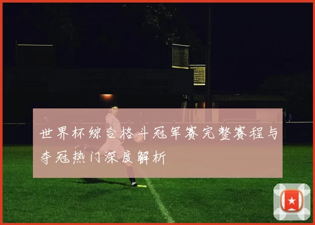 世界杯综合格斗冠军赛完整赛程与夺冠热门深度解析