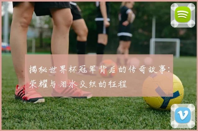揭秘世界杯冠军背后的传奇故事：荣耀与泪水交织的征程