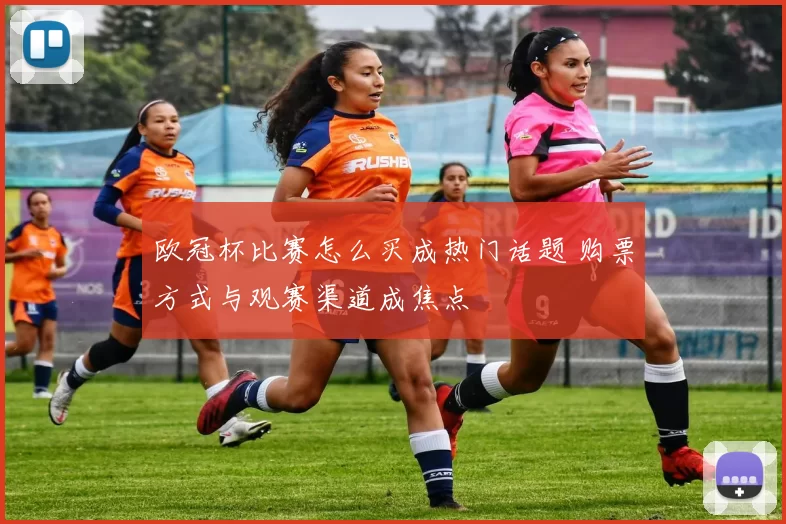欧冠杯比赛怎么买成热门话题 购票方式与观赛渠道成焦点