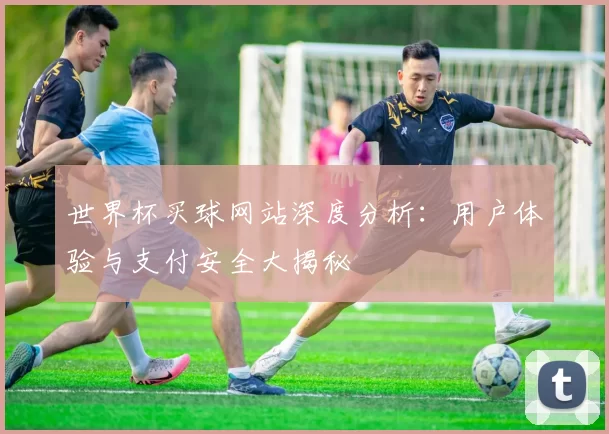世界杯买球网站深度分析:用户体验与支付安全大揭秘
