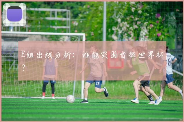 E组出线分析:谁能突围晋级世界杯?
