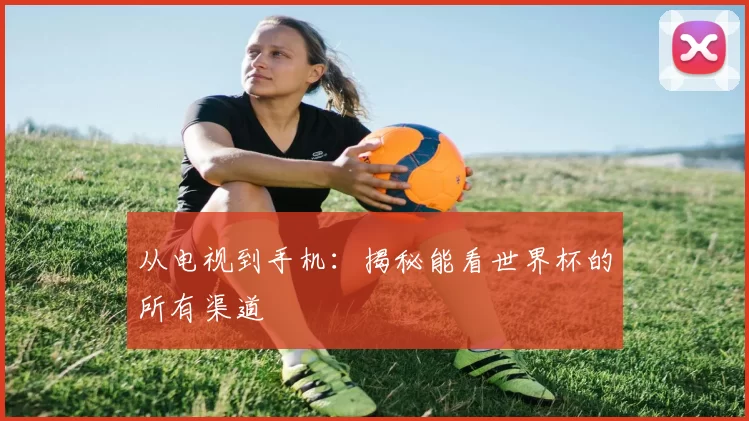 从电视到手机：揭秘能看世界杯的所有渠道