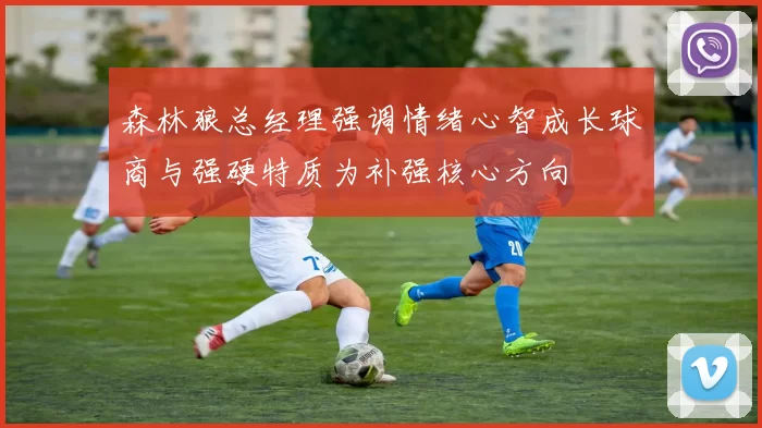 森林狼总经理强调情绪心智成长球商与强硬特质为补强核心方向