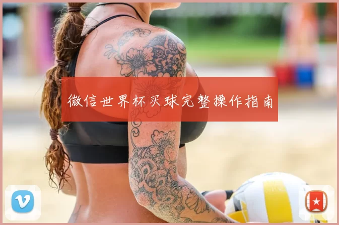 微信世界杯买球完整操作指南