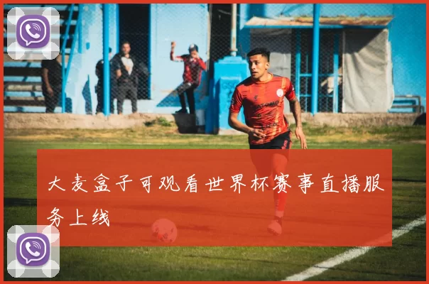 大麦盒子可观看世界杯赛事直播服务上线