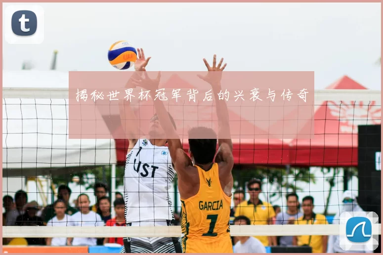 揭秘世界杯冠军背后的兴衰与传奇