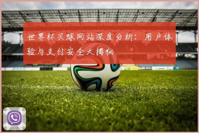 世界杯买球网站深度分析:用户体验与支付安全大揭秘