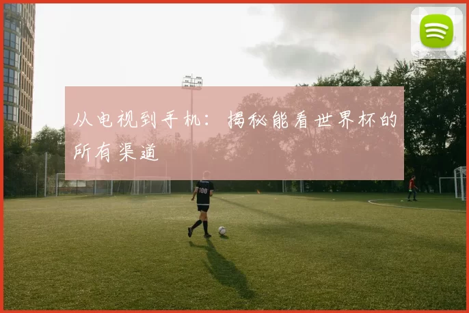 从电视到手机：揭秘能看世界杯的所有渠道