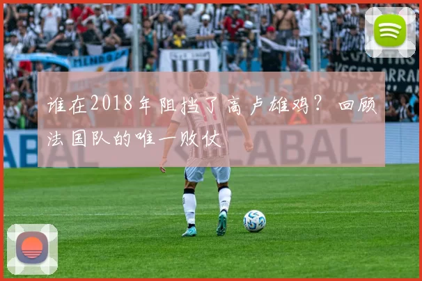 谁在2018年阻挡了高卢雄鸡？回顾法国队的唯一败仗