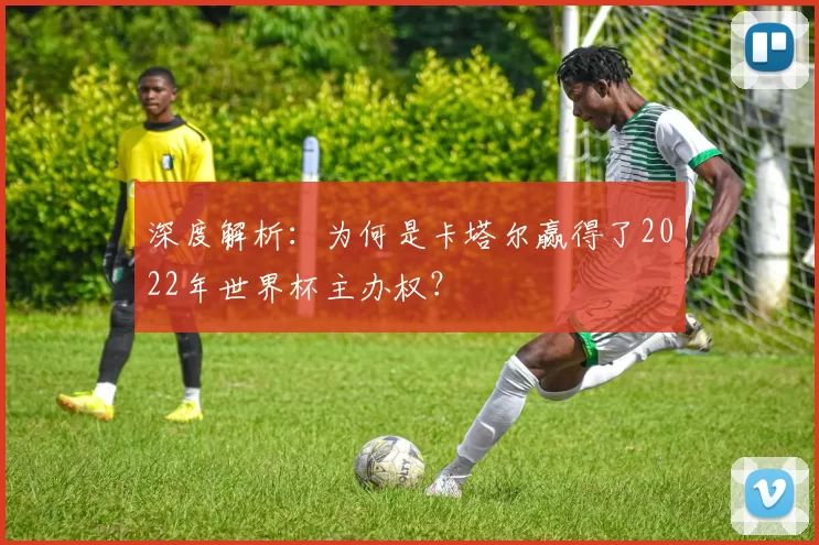 深度解析：为何是卡塔尔赢得了2022年世界杯主办权？