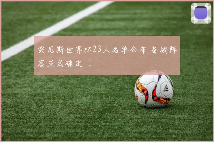 突尼斯世界杯23人名单公布 备战阵容正式确定_1