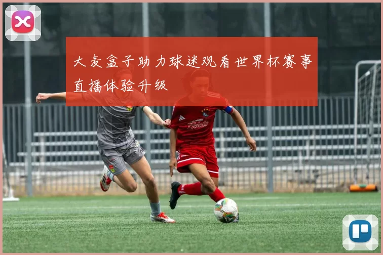 大麦盒子助力球迷观看世界杯赛事直播体验升级