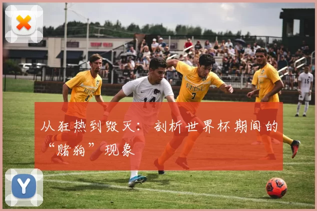从狂热到毁灭:剖析世界杯期间的“赌狗”现象